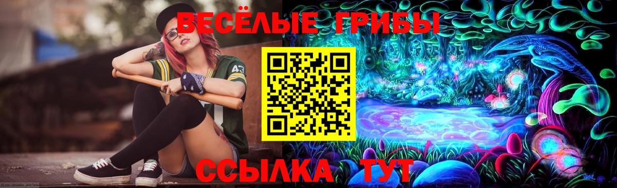 Галлюциногенные грибы мухоморы  Псилоцибиновые грибы Psilocybine cubensis  где найти   Анжеро-Судженск  Вход с VPN 